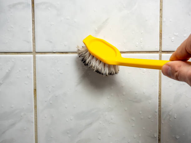 Best Residential Mold Remediation in Denmark, WI