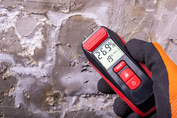 Best Kitchen Mold Remediation in Denmark, WI