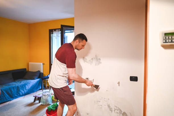 Best Kitchen Mold Remediation in Denmark, WI